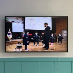 signate 65 inch